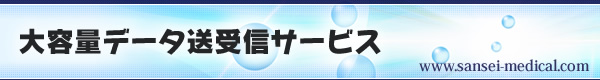 大容量データ送受信サービス